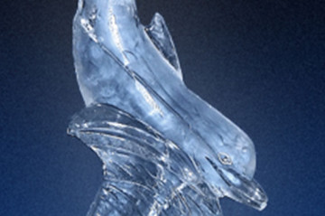 Dolphin Ice Sculpture